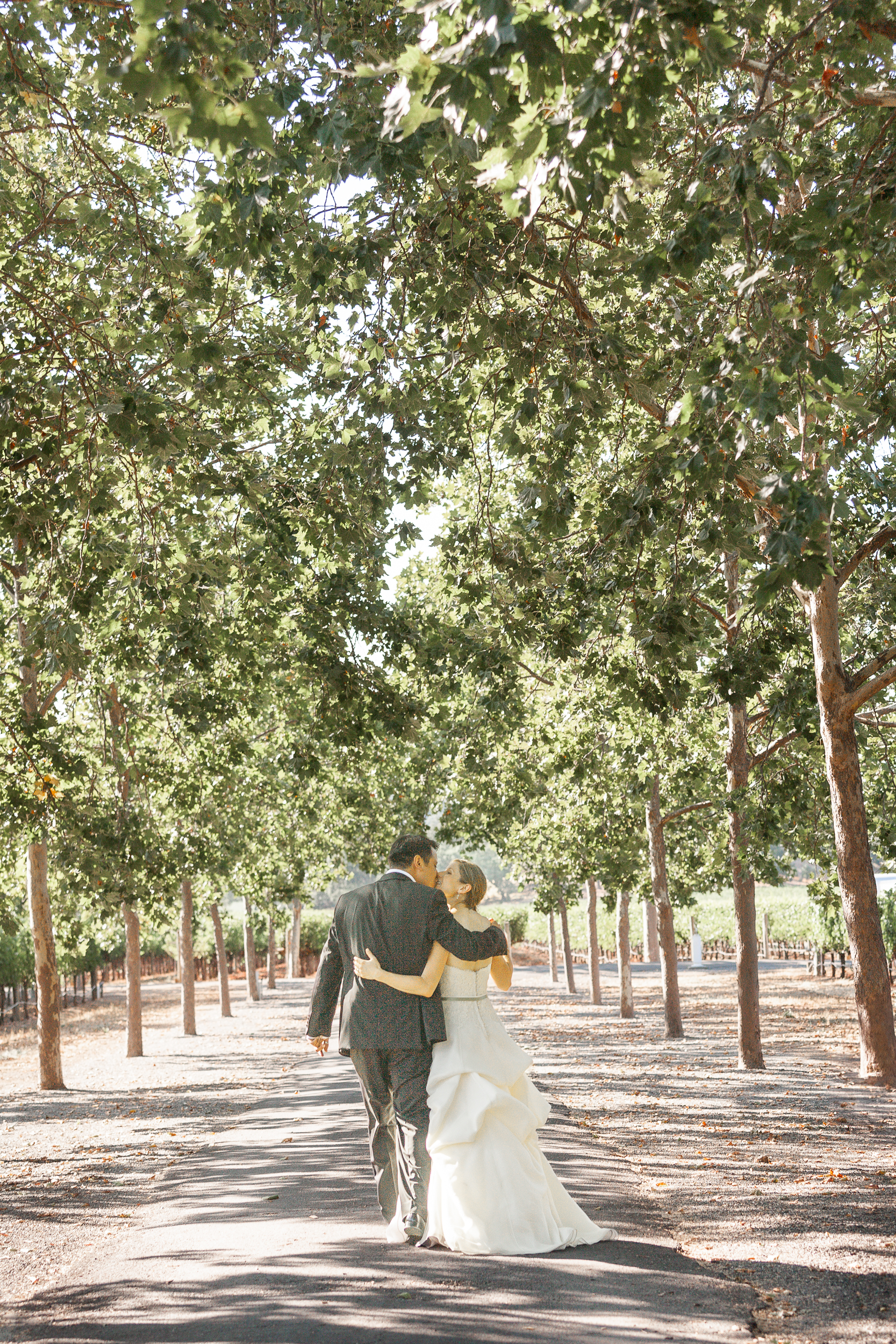 beaulieu-gardens-napa-wedding-melissa-mermin