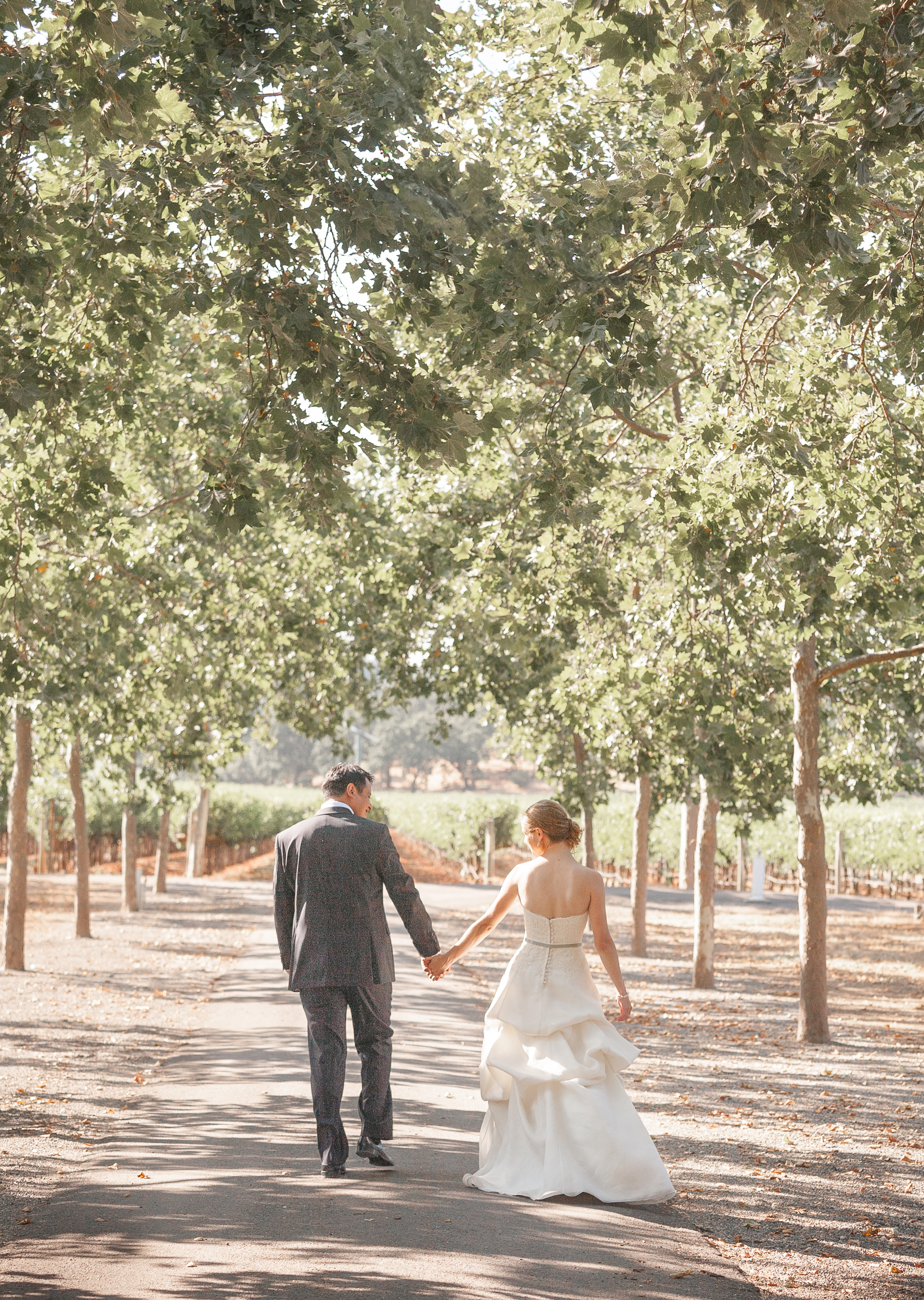 beaulieu-gardens-napa-winery-wedding-melissa-mermin